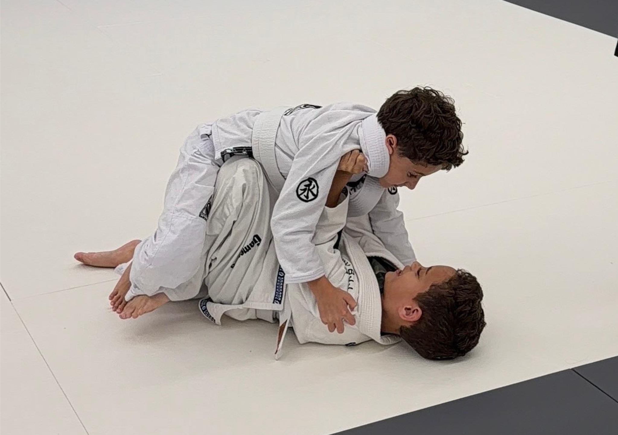 img_20260216_wa0116_1